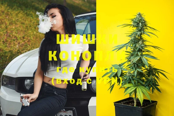 шишки Алексеевка