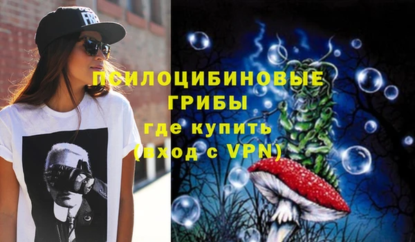 шишки Алексеевка