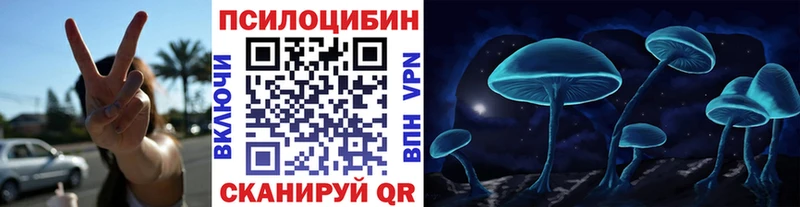 сколько стоит Феодосия Галлюциногенные грибы Psilocybine cubensis